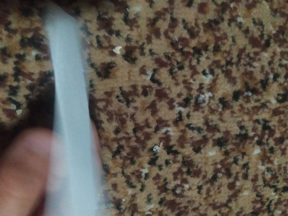 Міні кораблик з паперу