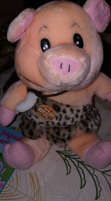 Vários peluches lindos