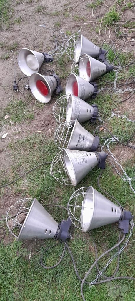 Lampy dla zwierząt promieńik ciepła