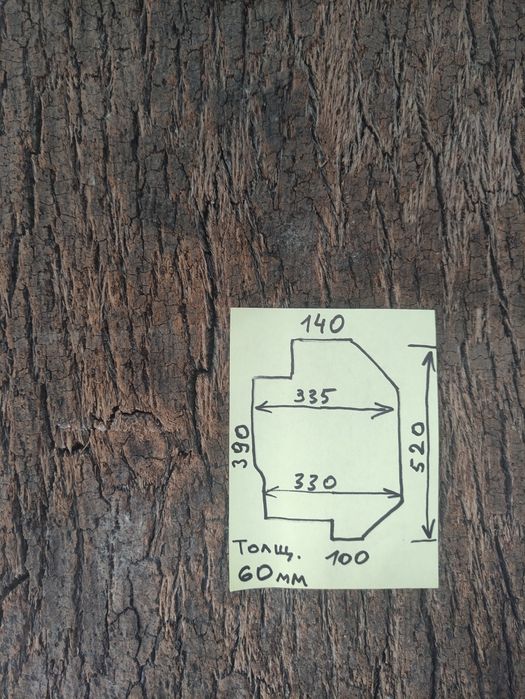 Пробковое дерево