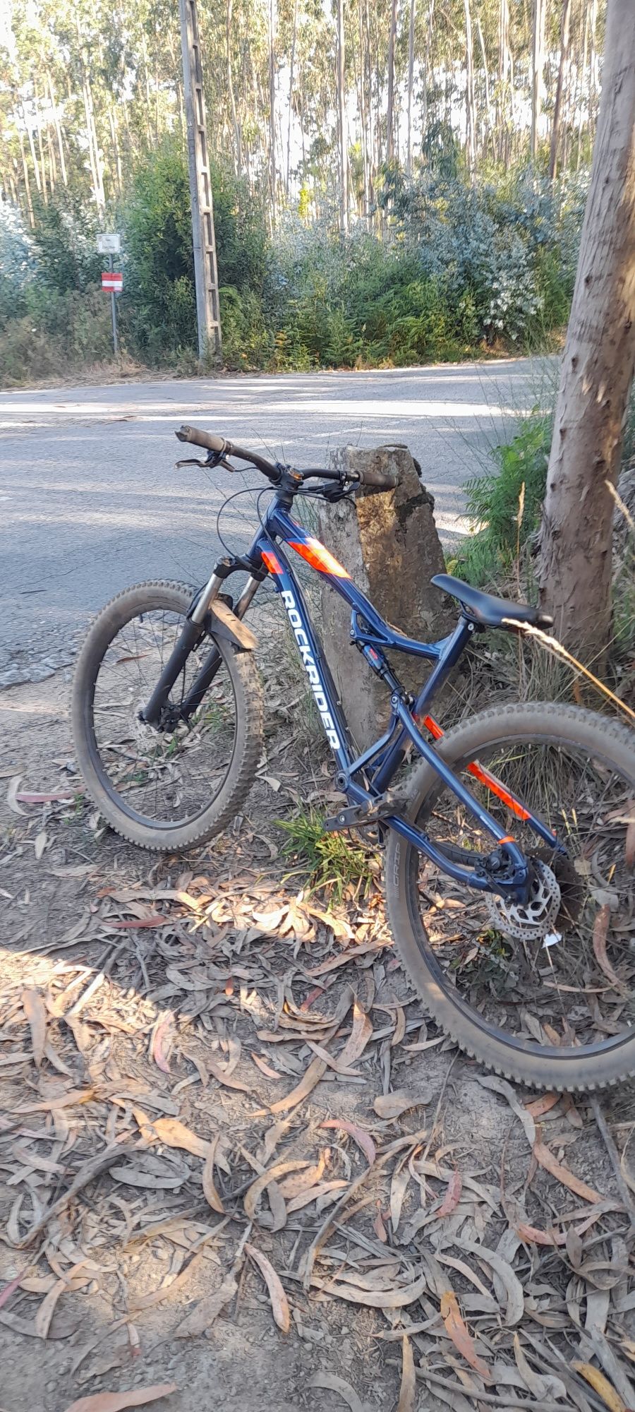 Vendo ou troco por bike de downhill