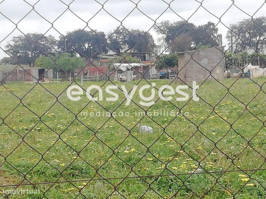 Terreno Urbano com 2693m de área localizado em Figueira dos Cavaleiros