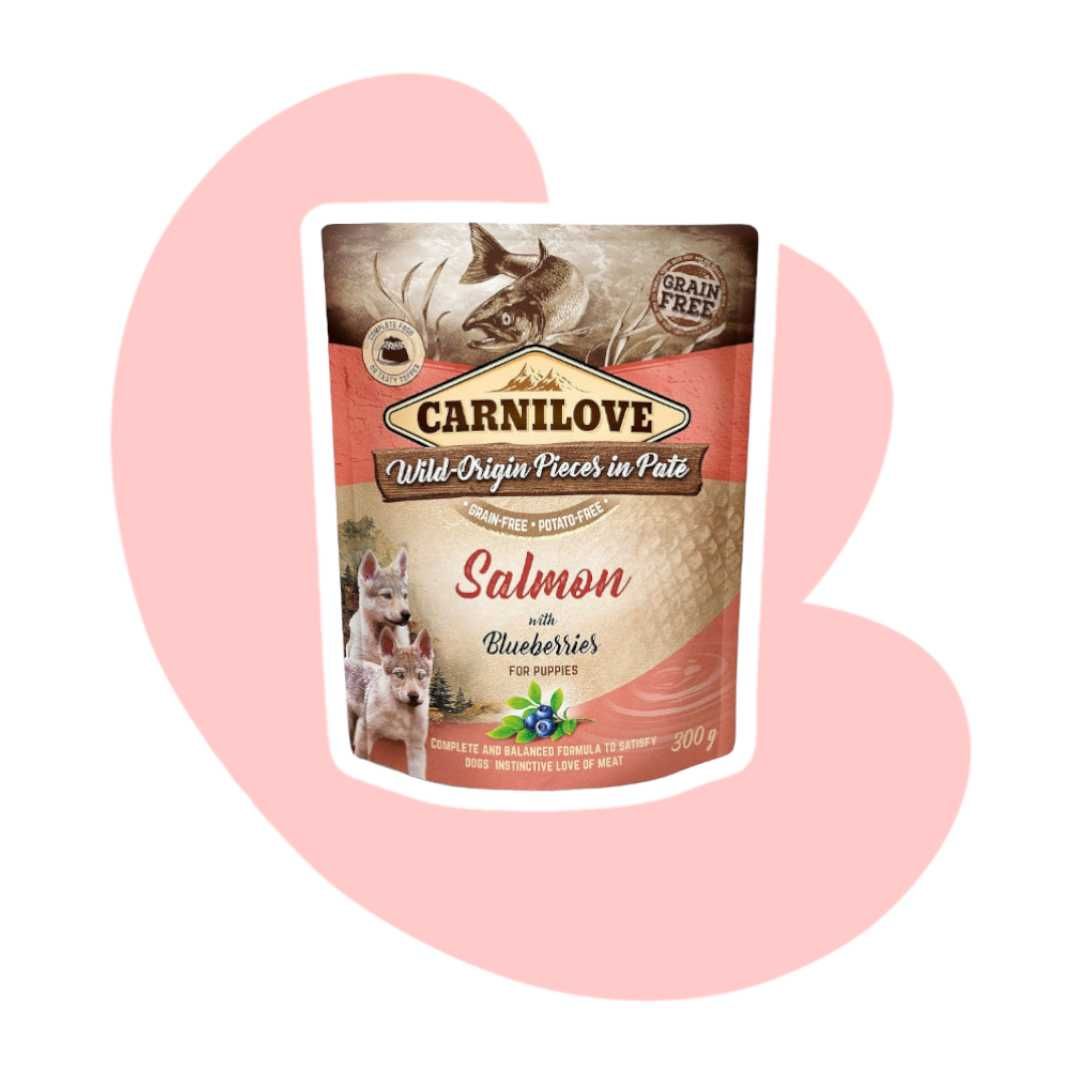 Carnilove Puppies Salmon&Blueberries 10x300g Łosoś Jagody