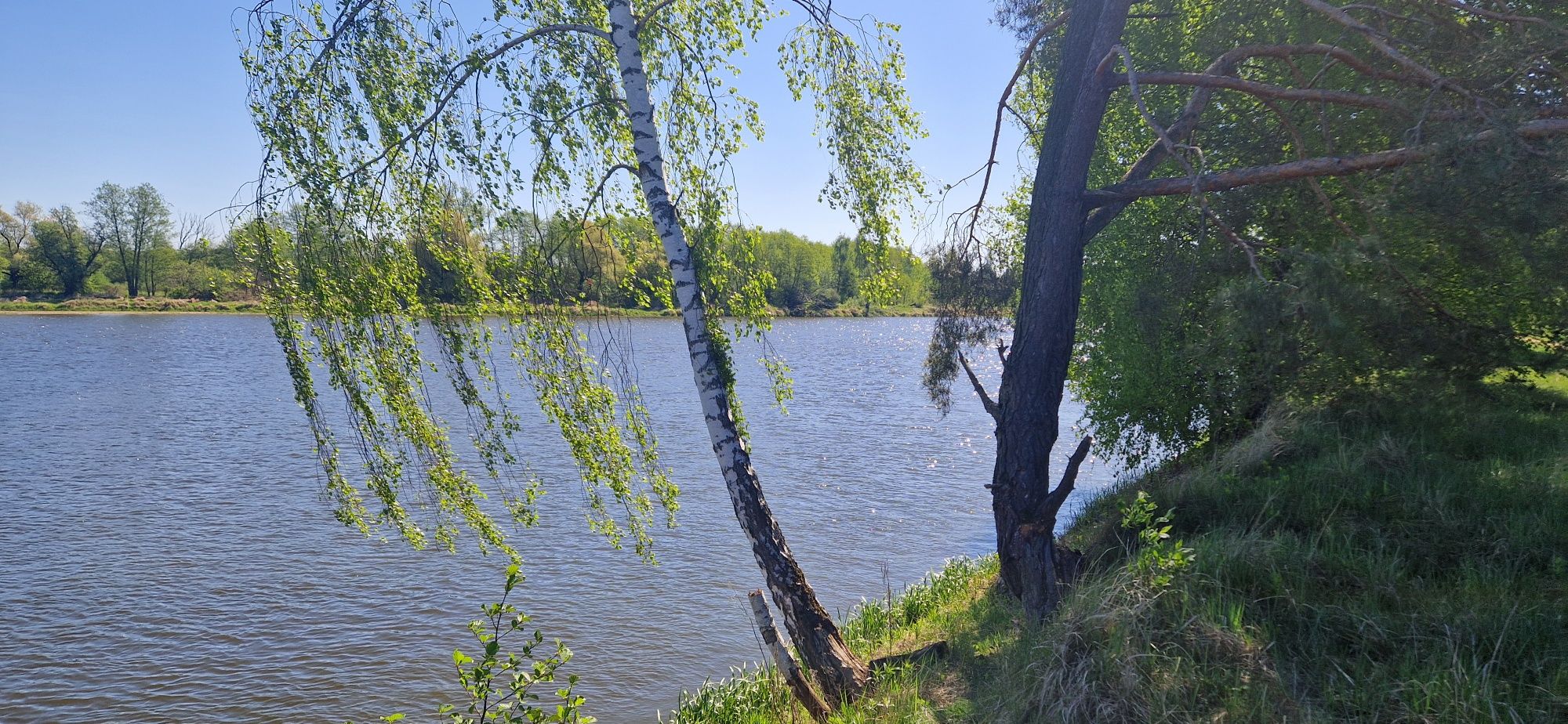 Stare Mierzwice 1566 m2 z dostępem do rzeki Bug