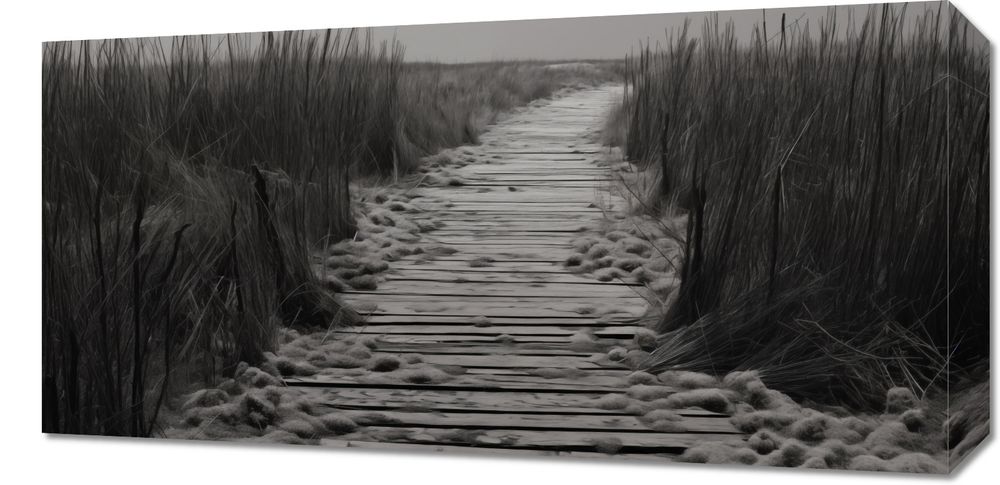 Obraz 60x30cm Ścieżka Ciszy Wydm