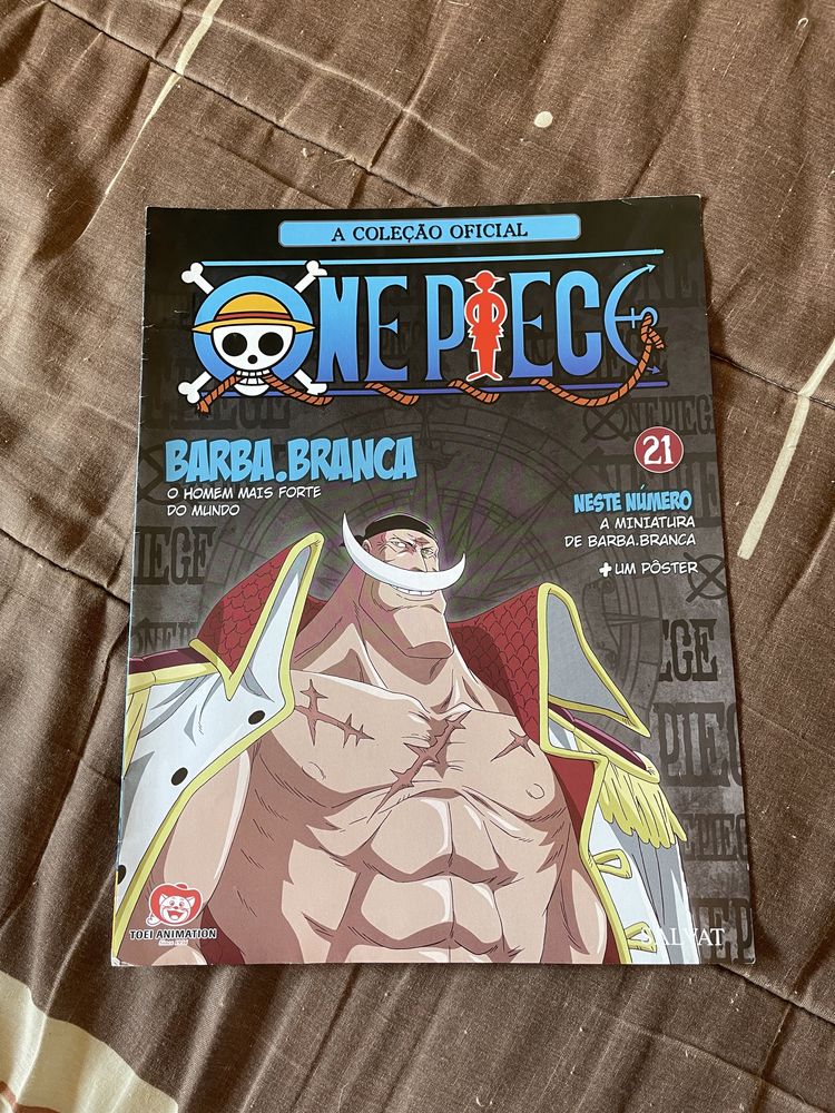 Revista One Piece 21 Poster (portes grátis)