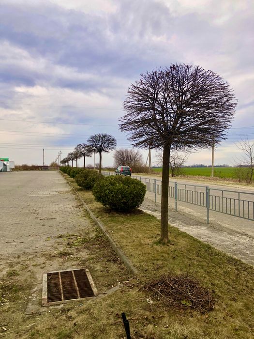 Студія ландшафтного дизайну «Свій дизайн»