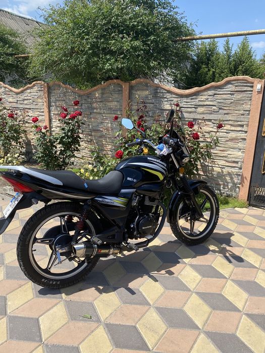 Мусстанг регион 150 / Musstang region