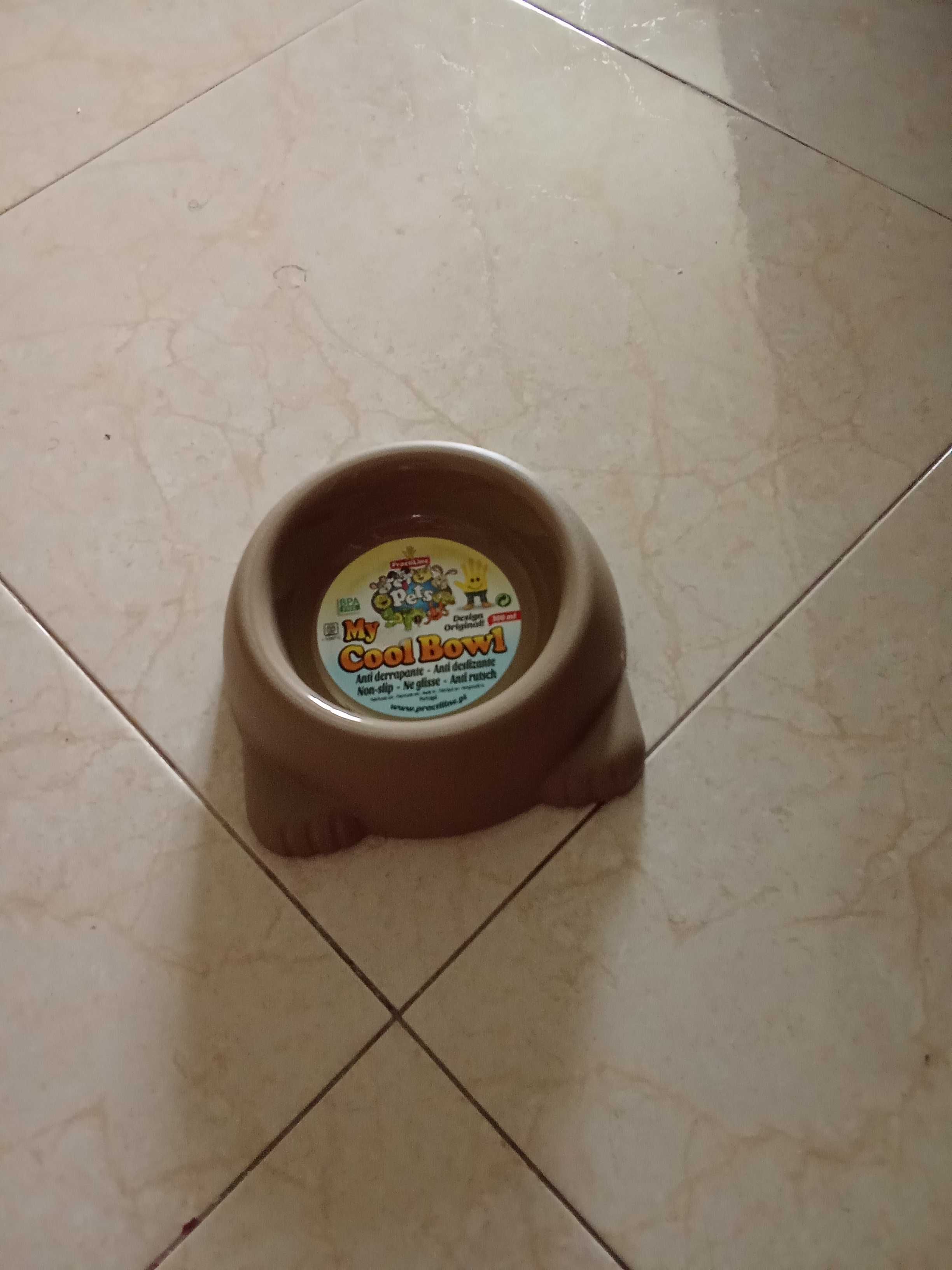 Casota muito gira para cão