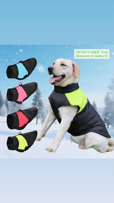 Безрукавка одяг для собак , кане корсо