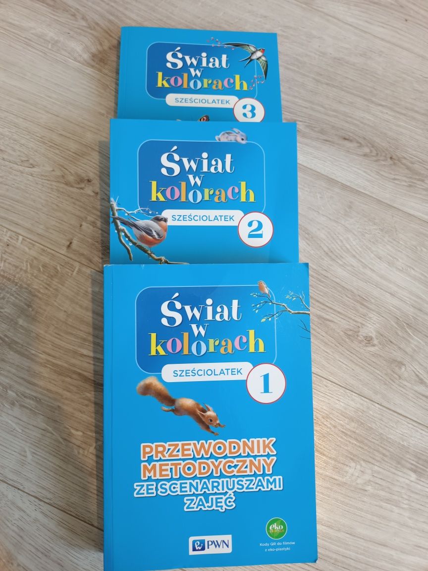 Przewodniki metodyczne świat w kolorach sześciolatek