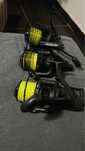 Kolowrotki avid carp