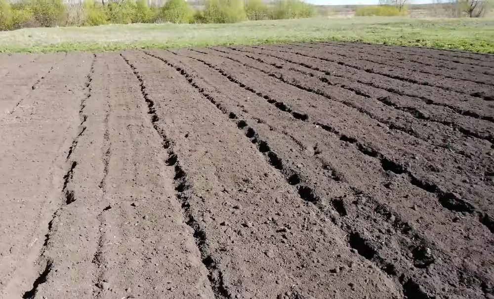 Культивація фрезерування мотоблоком