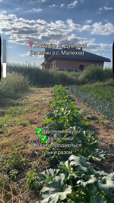 Три земельні ділянки біля Львова/Земельна ділянка/Велика ділянка