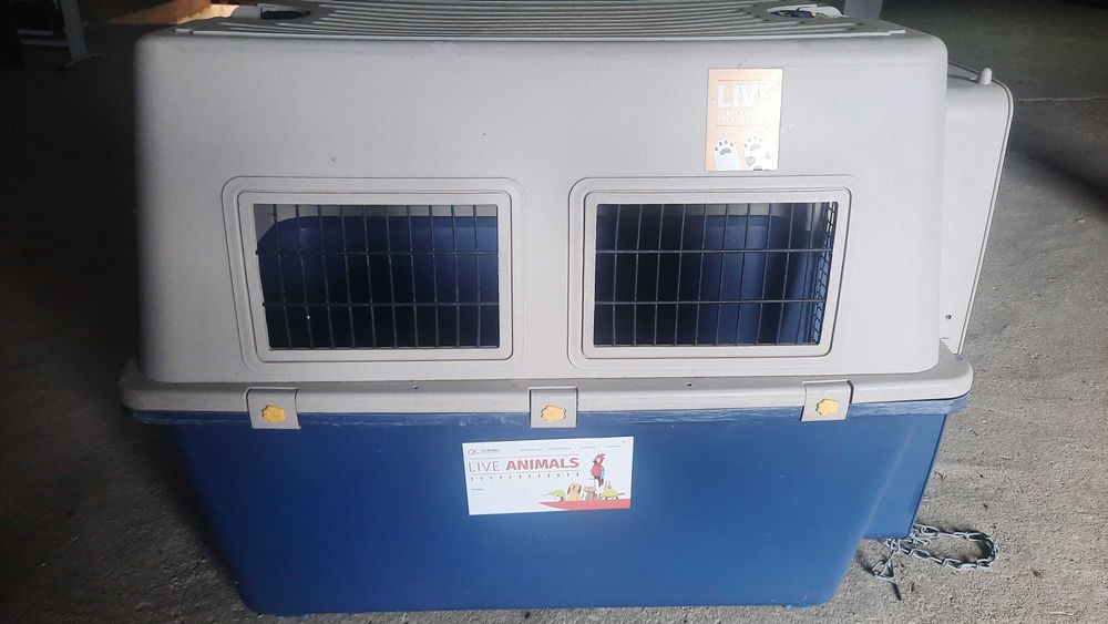 Caixa Transportadora Oficial IATA, para animais  | Ótimo Estado