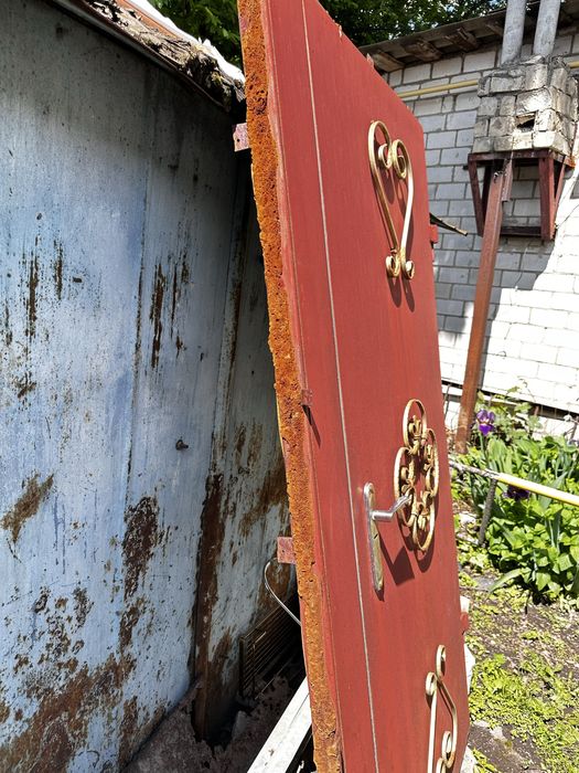 Двері залізні ( прикрашені кованими деталями)