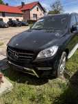 Ml250 W166 AMG anglik