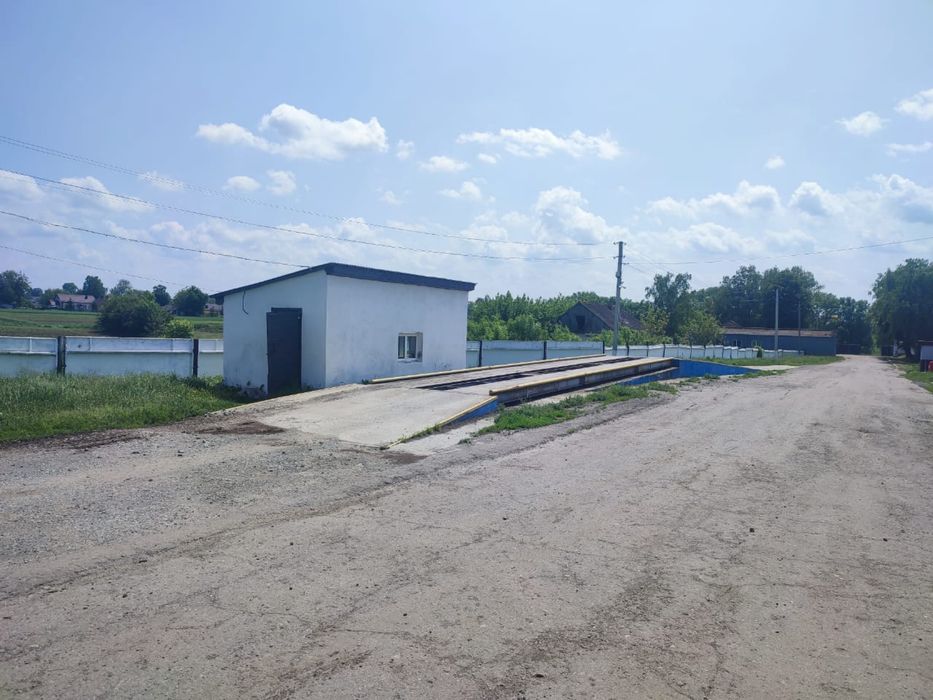 Діючий бізнес. Комплексна бройлерна птахоферма, забійний цех