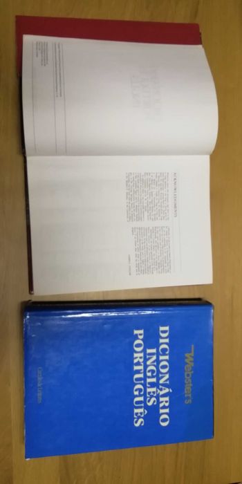 Dicionários de Inglês/português e português/inglês