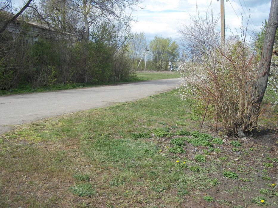 Продам будинок в селі Левенцівка.