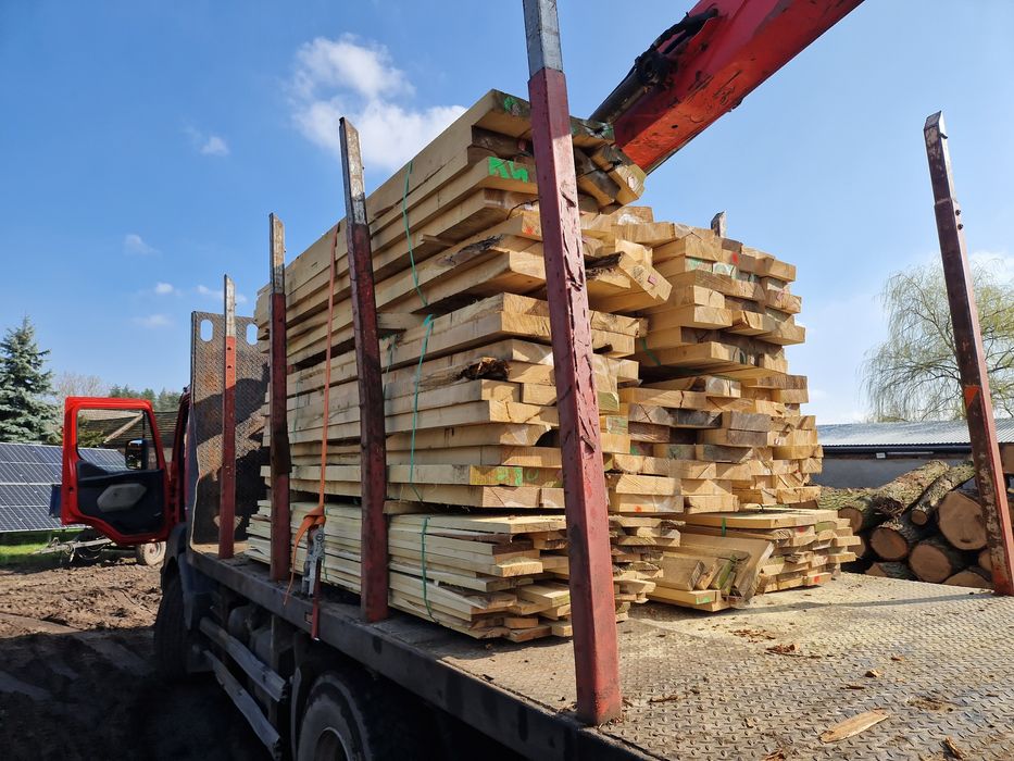 Belki /Tarcica Akacjowa/Dębowa