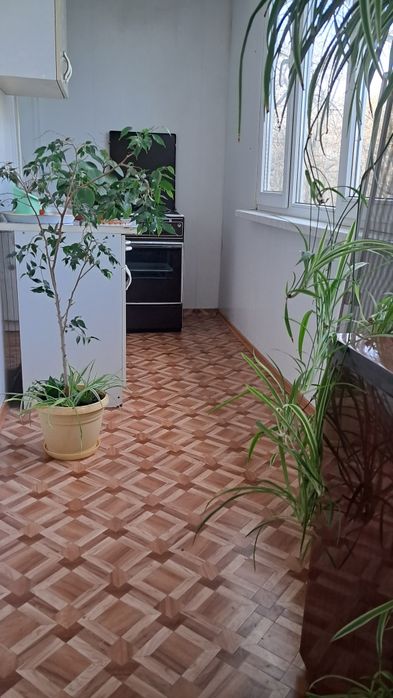 Сдам посуточно 1 комн. кв Генерала Петрова/Варненская /паркГорького
1