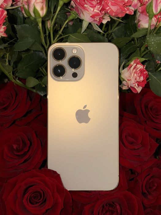 iPhone 13 Pro Max 256GB