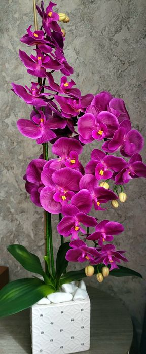Продам латексну орхідею