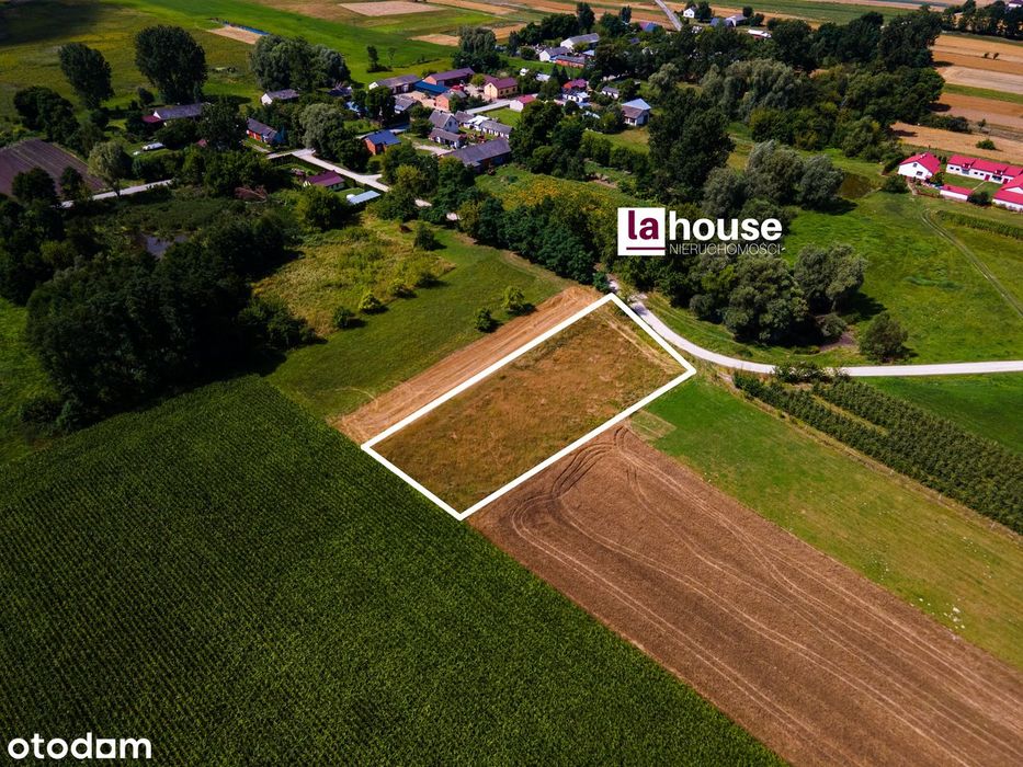 Strzałki, gm. Nowe Miasto nad Pilicą, zabudowa zagrodowa