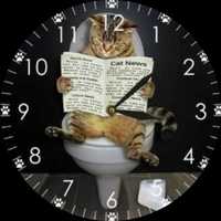 Часы любителям котиков