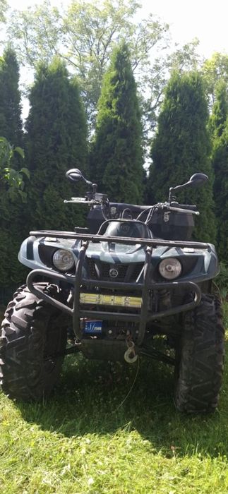 Quad Yamaha Briun