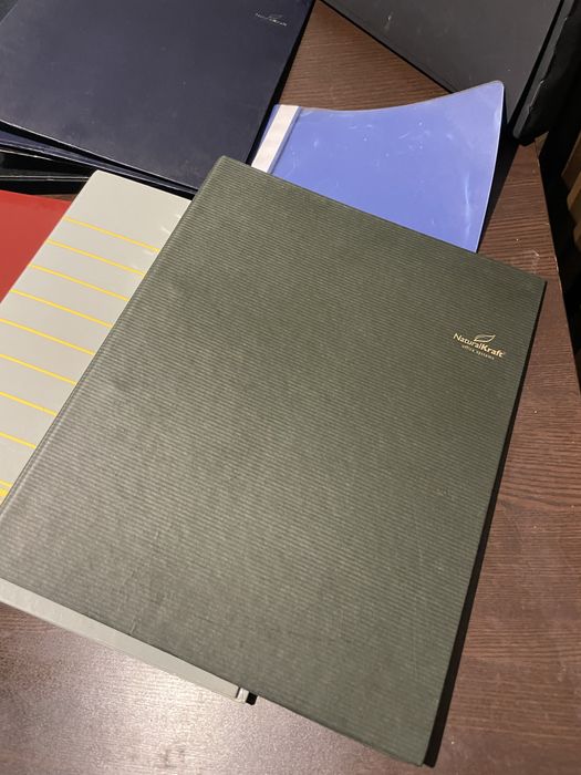 Conjunto 13 Dossiers + pasta