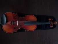 Skrzypce instrument 1/2