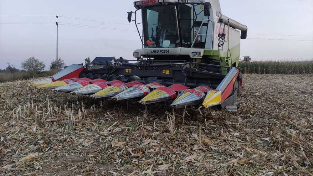 Przystawka do kukurydzy ZIEGLER Corn8