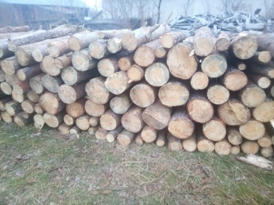 Drewno opałowe sosnowe