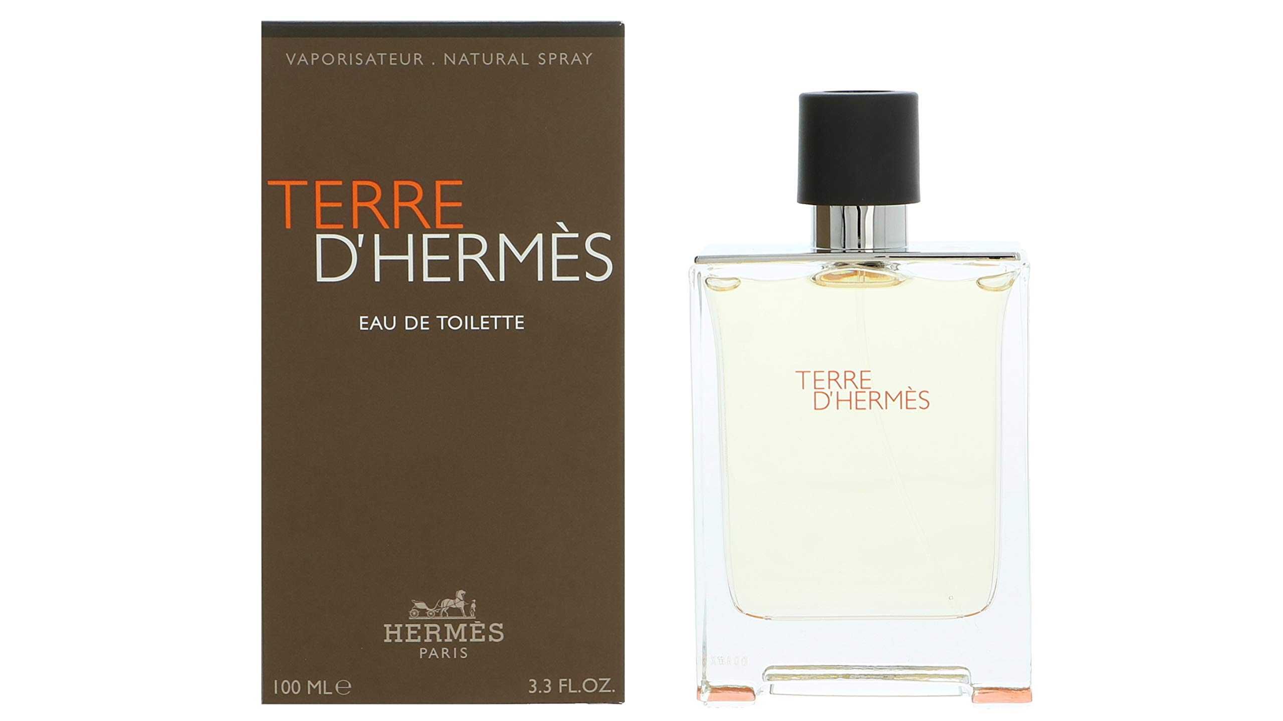 Hermès Terre D'Hermes 100ml Eau de Toilette Man EDT