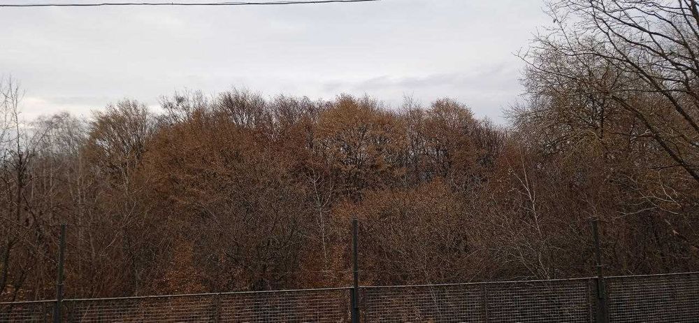 Здається Дім(дача) біля лісу та озера для житла і вдаленої роботи