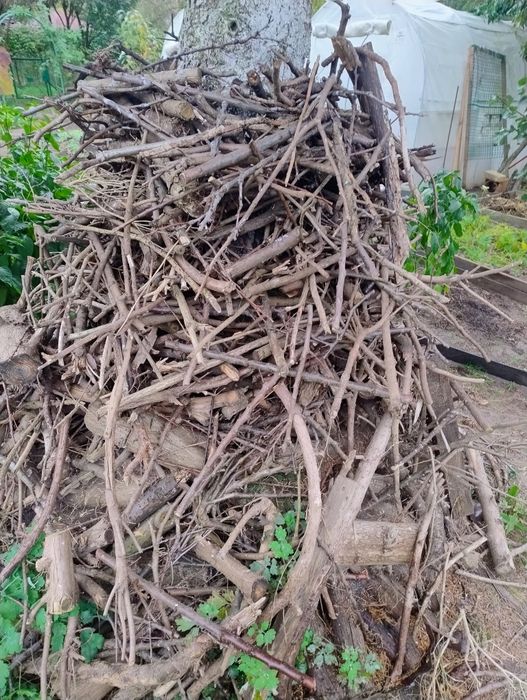 Drewno na rozpałkę