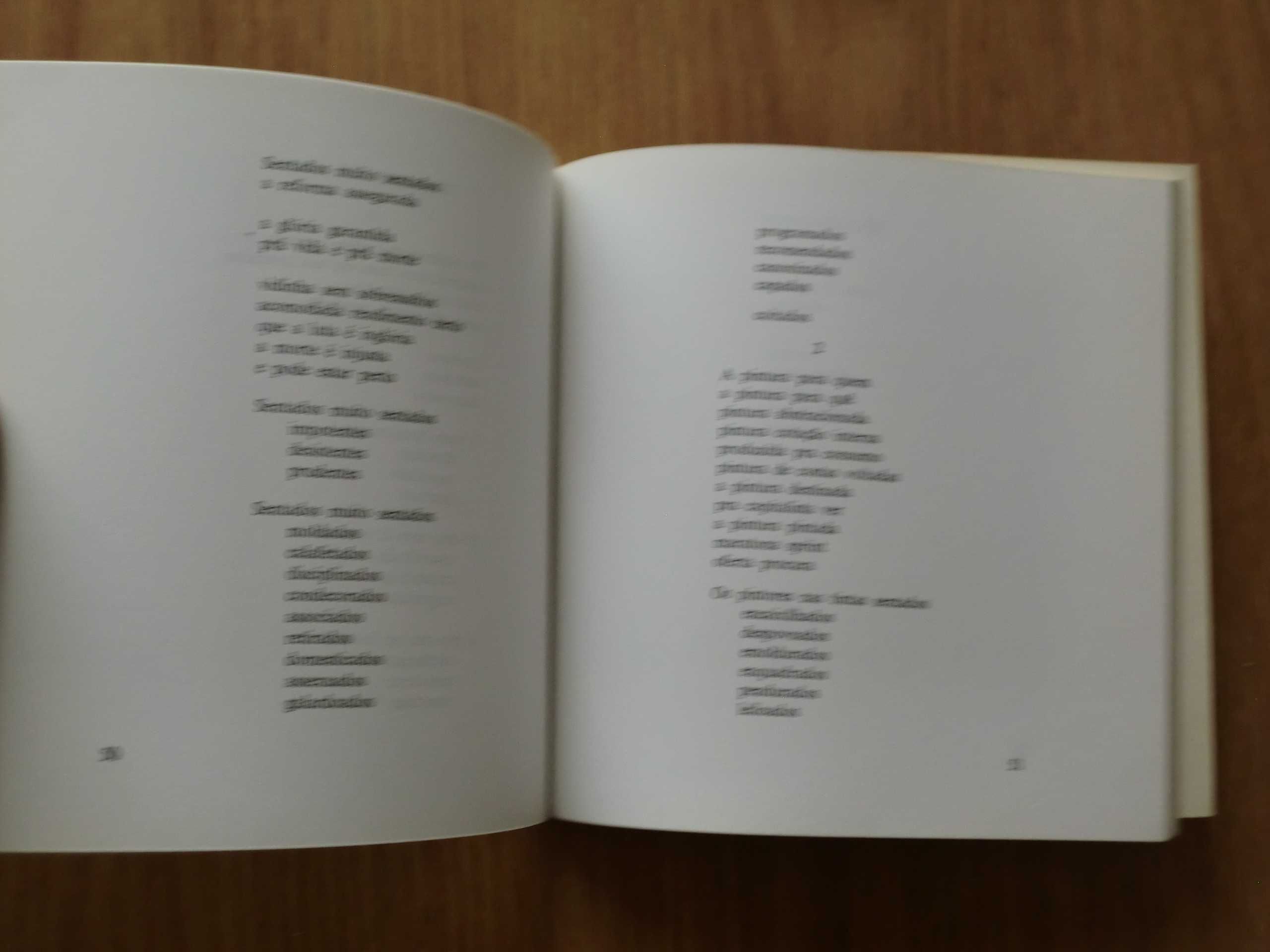 Poemas de ponta & mola de Mendes de Carvalho