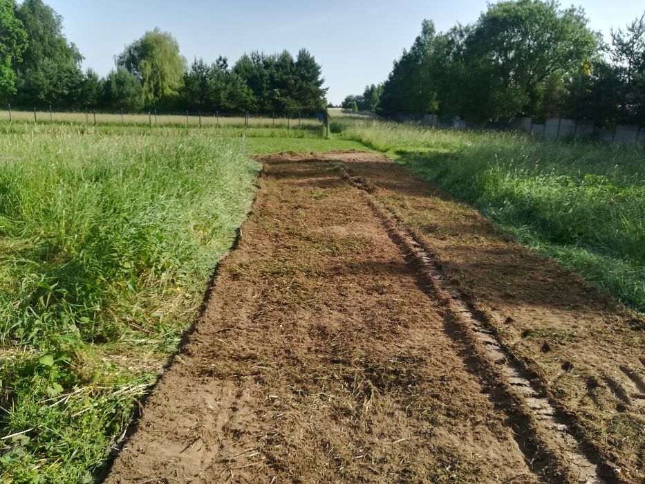 MULCZER LEŚNY oraz WGŁĘBNY wycinka drzew  Czyszczenie działki PILAR /+