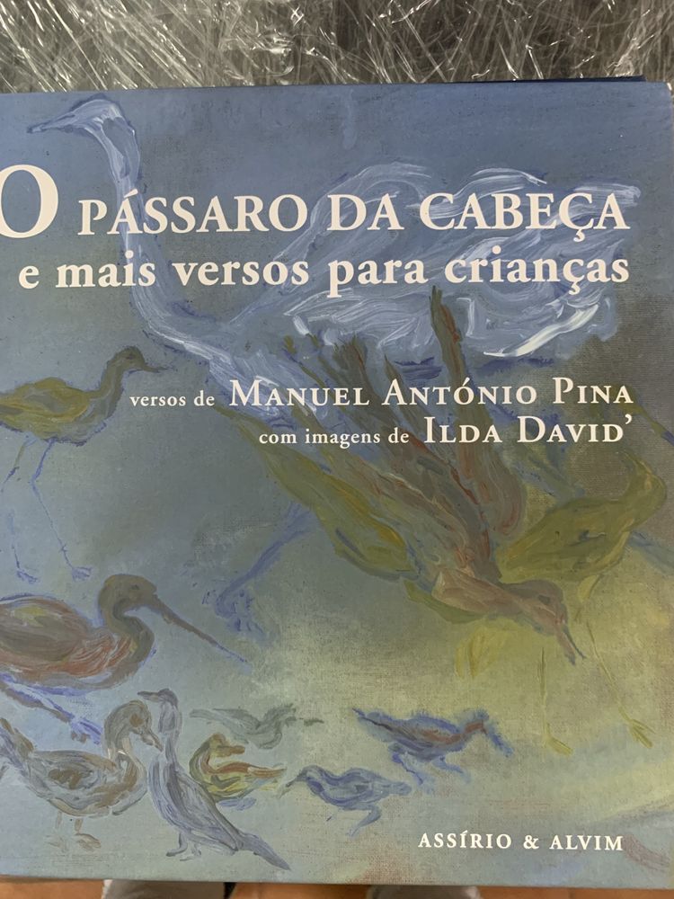 Livros apoio escolar disciplina português