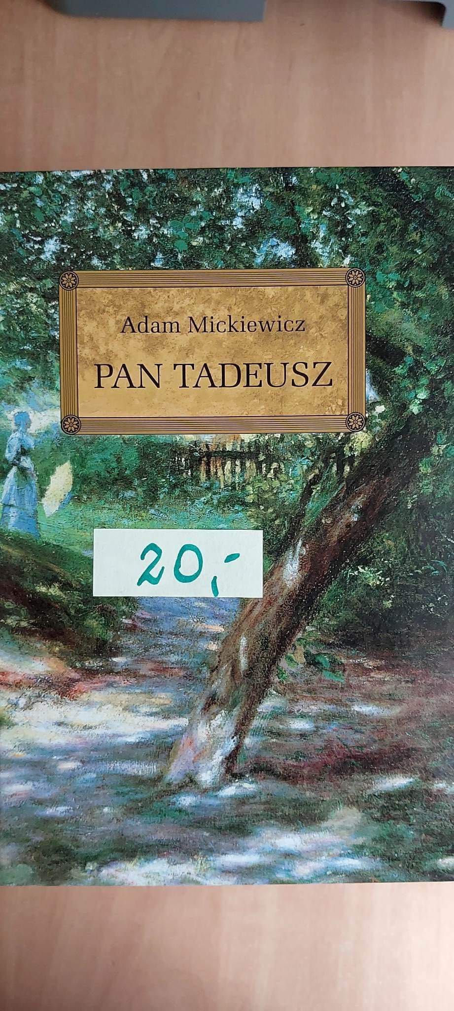 Pan Tadeusz - książka z opracowaniem szkolnym Greg