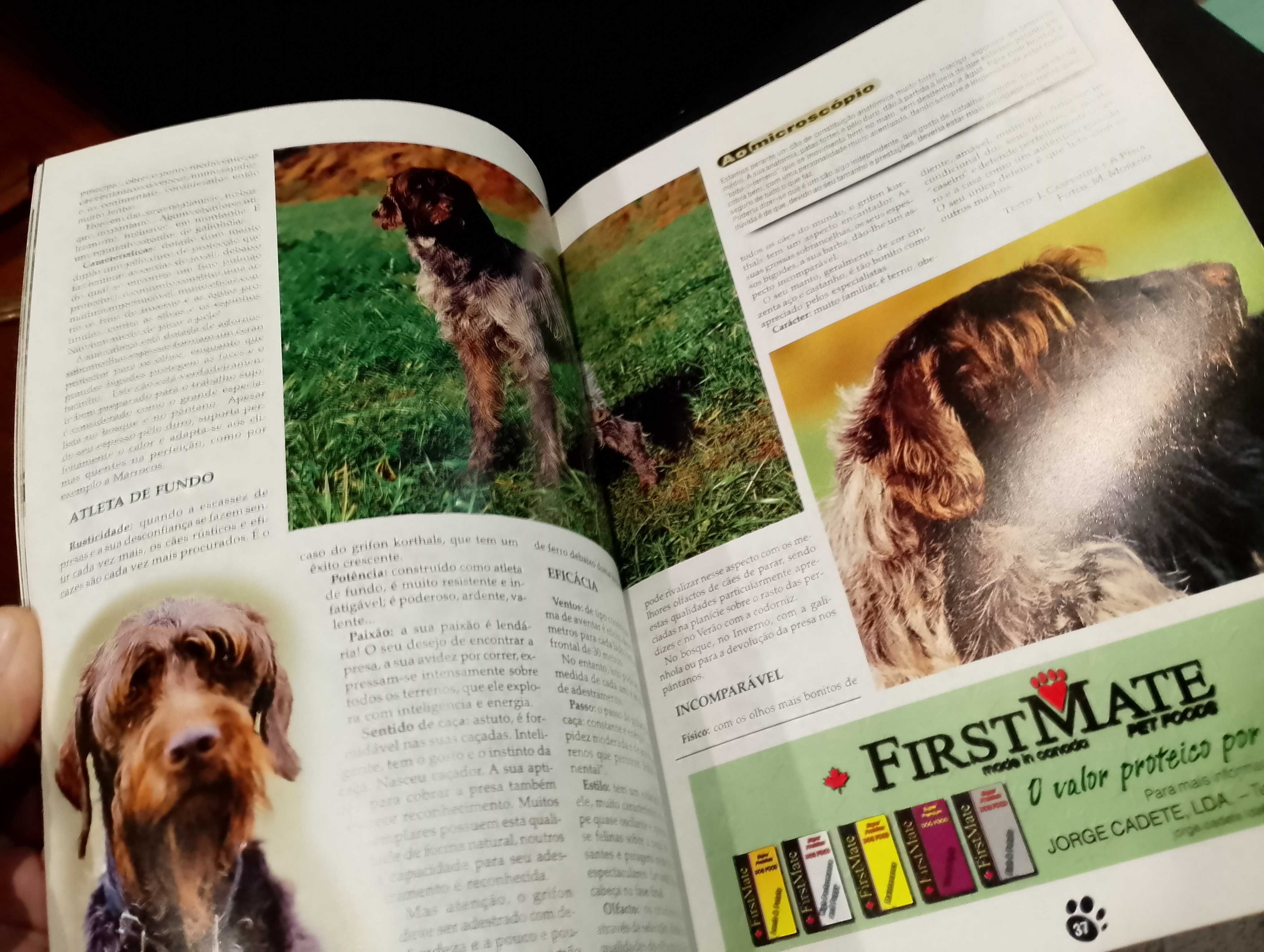 Revista nº1 Anuário 2000 Especial Cães de Caça