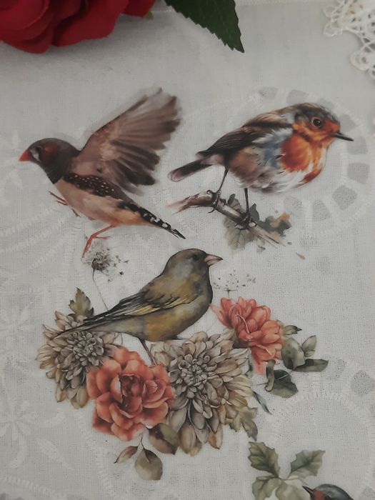 15 stickers pássaros selvagens, autocolantes scrapbooking.