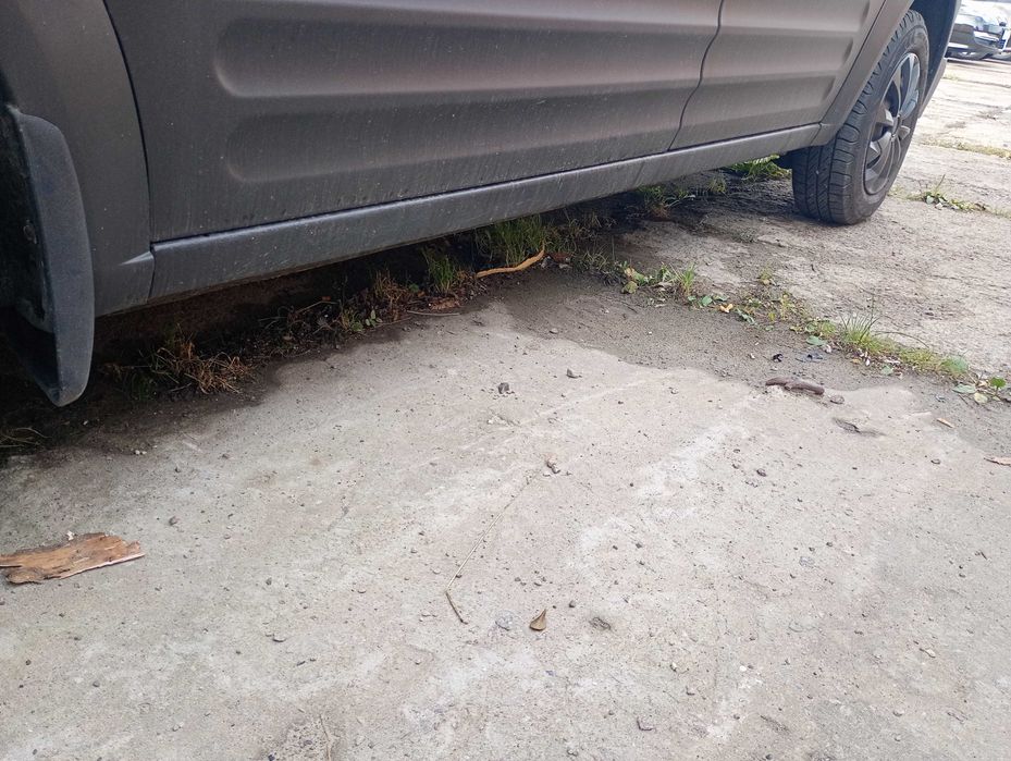 Ford Connect 1.8 tdci 2003 потребує ремонту ТНВД