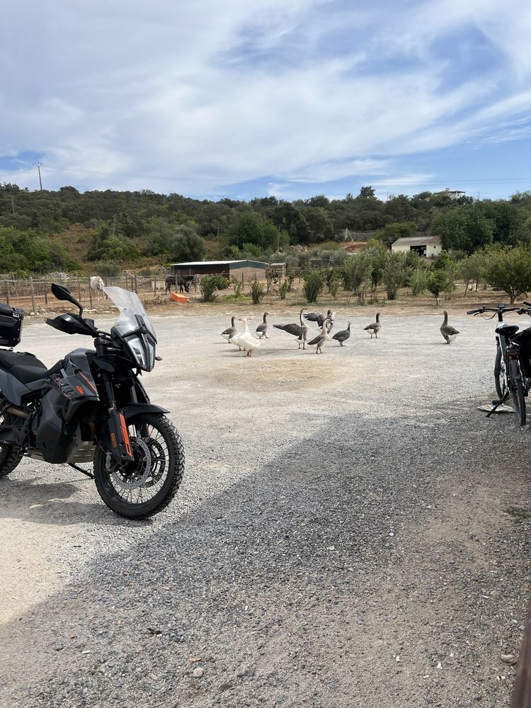 Ktm 890 ADV 2021