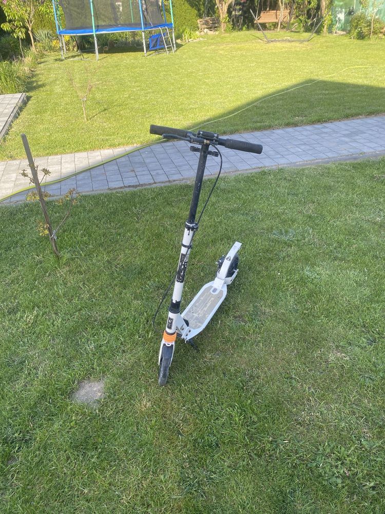 Hulajnoga Urban Scooter