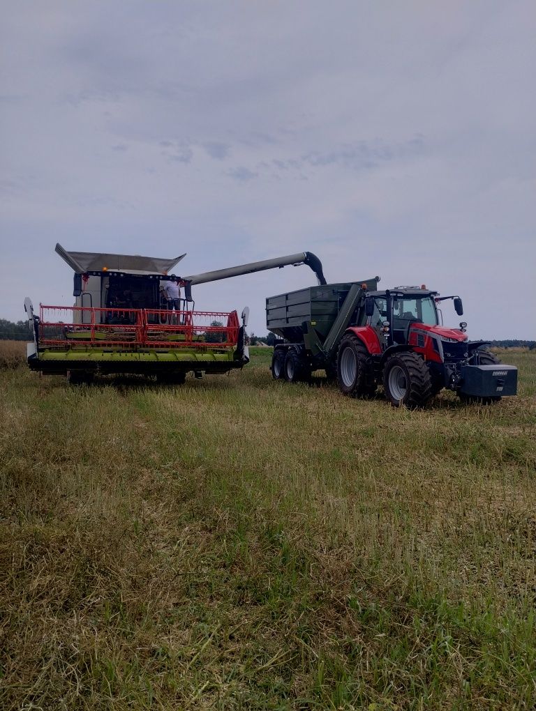 Zbiór, koszenie zboża, rzepaku. Usługi rolnicze
