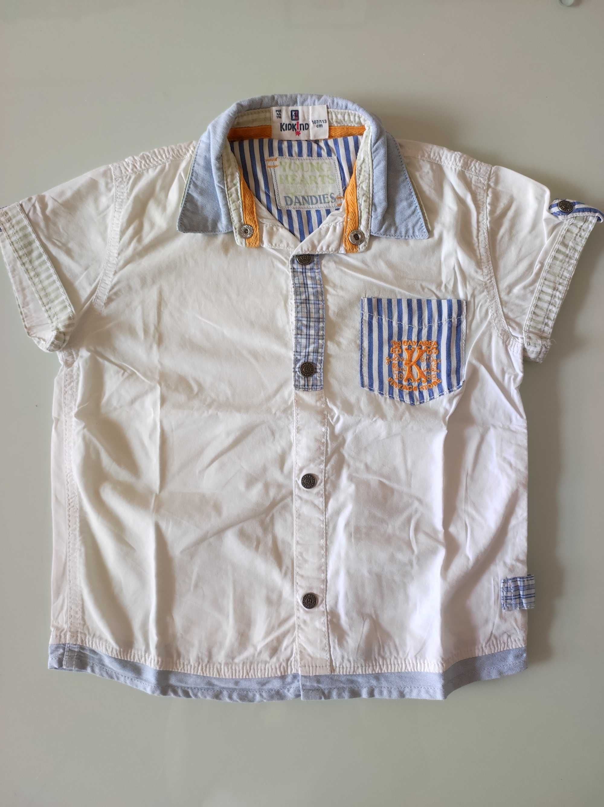 Camisas Zara, Lego e PréNatal para 3, 4 e 5 anos