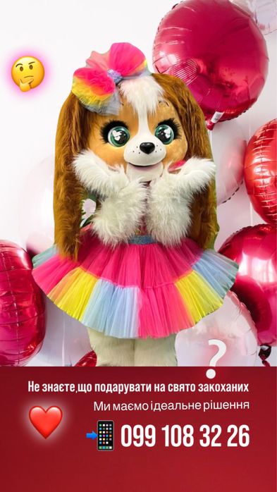 Мишка Полтава Ведмедик Полтава Аніматори Полтава